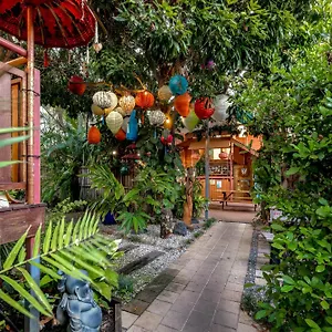  Ostello Travellers Oasis Australia